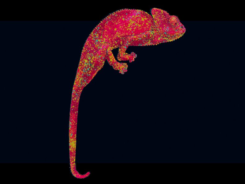 © Opernhaus Zürich