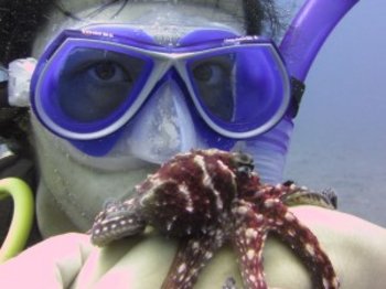 Octupus Melody | © Larry Hogan of Island Divers, Honolulu, 2013