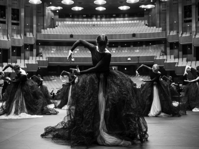 © Serghei Gherciu, Probenfoto