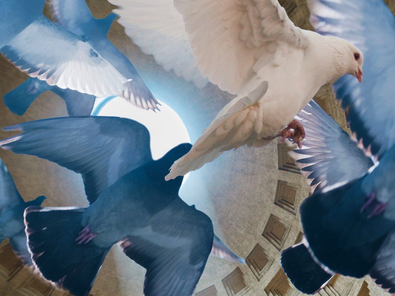 © Wiener Staatsoper