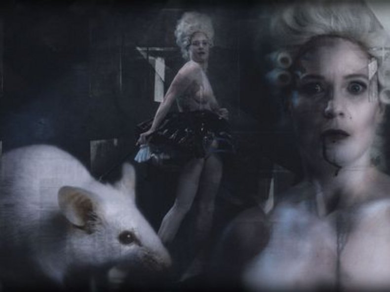 © Marcel Urlaub/Volkstheater