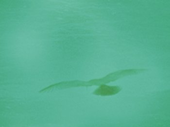 © Landestheaters Niederbayern