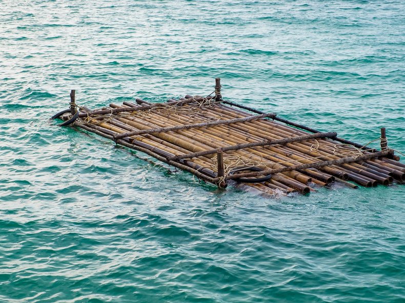 © Exzozis/Shutterstock.com